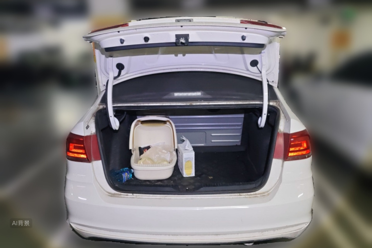 Volkswagen Santana 2018 car image #16