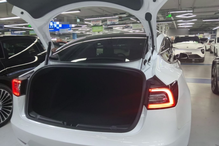 Tesla Model 3 2023 car image #19