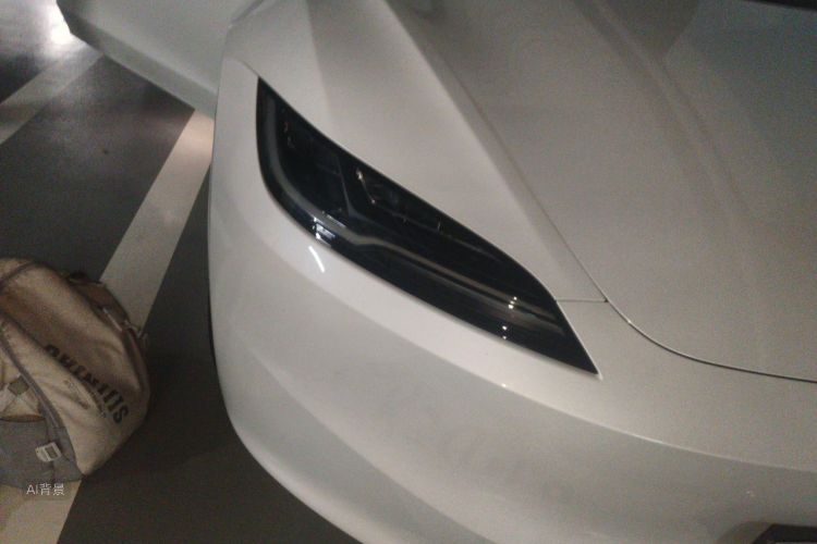 Tesla Model 3 2023 car image #8