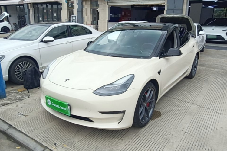 Tesla Model 3 2021 immagine di auto #2