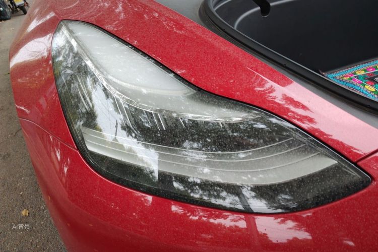 Tesla Model 3 2020 car image #8
