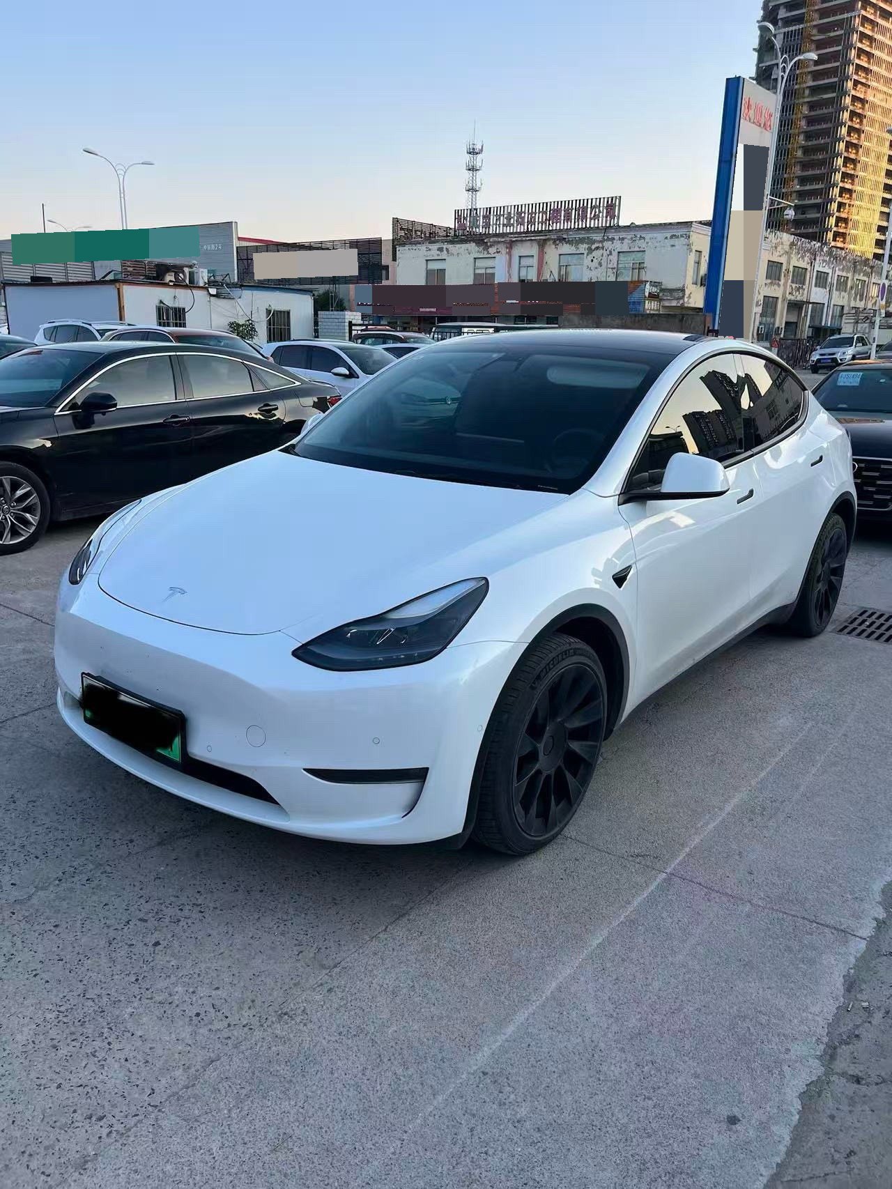 Tesla Model Y 2021 Tesla Model Y 2021 car image