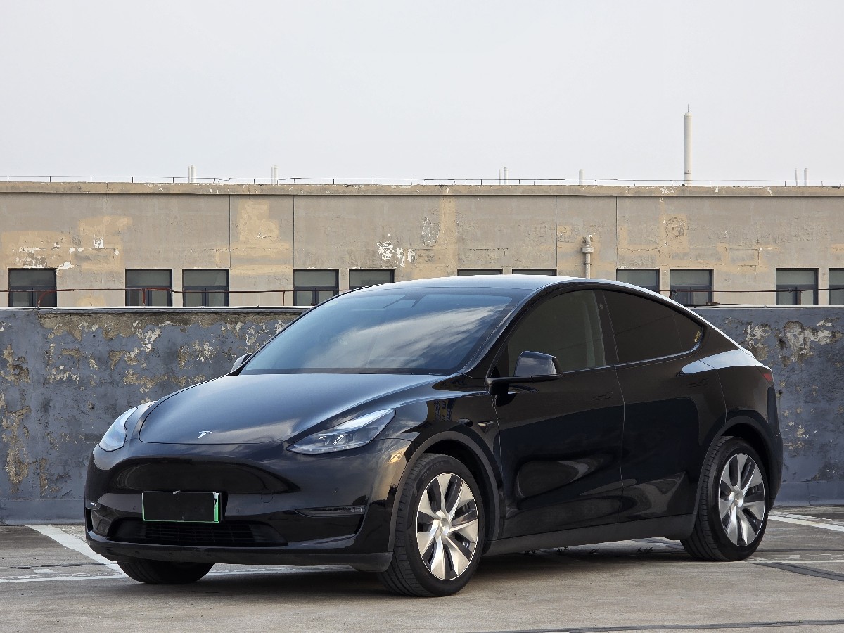 Tesla Model Y 2021 car image 