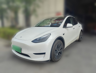 Tesla Model Y 2024 Tesla Model Y 2024 car image