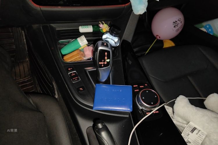BMW 3 Series 2017 #16 BMW 3 Series 2017 car image #16