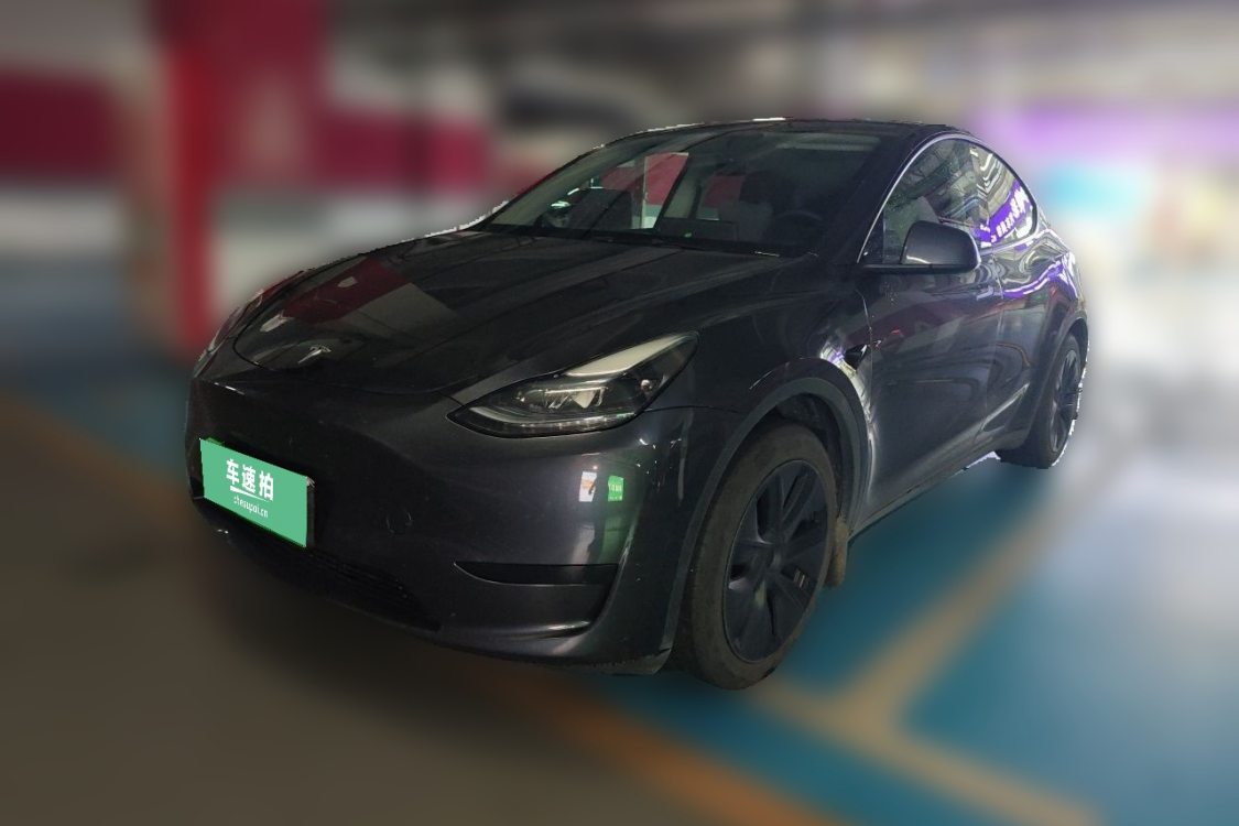 Tesla Model Y 2024 car image 