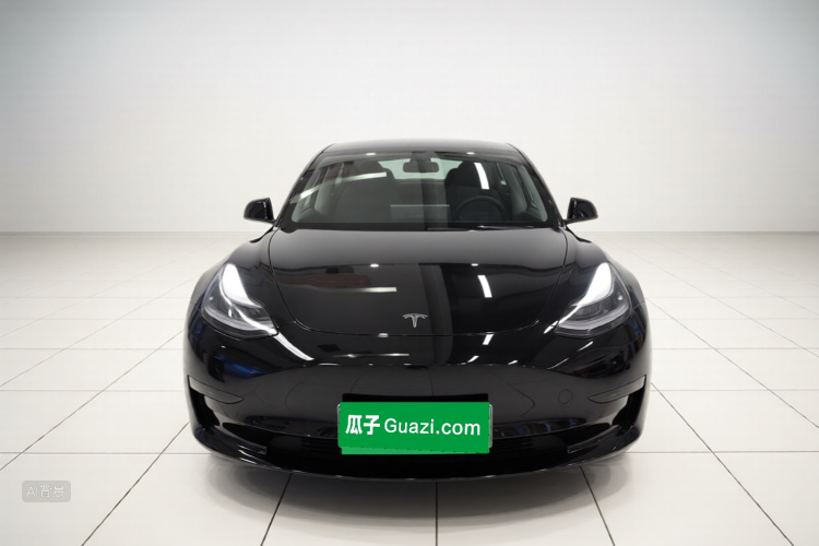 Tesla Model 3 2021 #3 Tesla Model 3 2021 car image #3