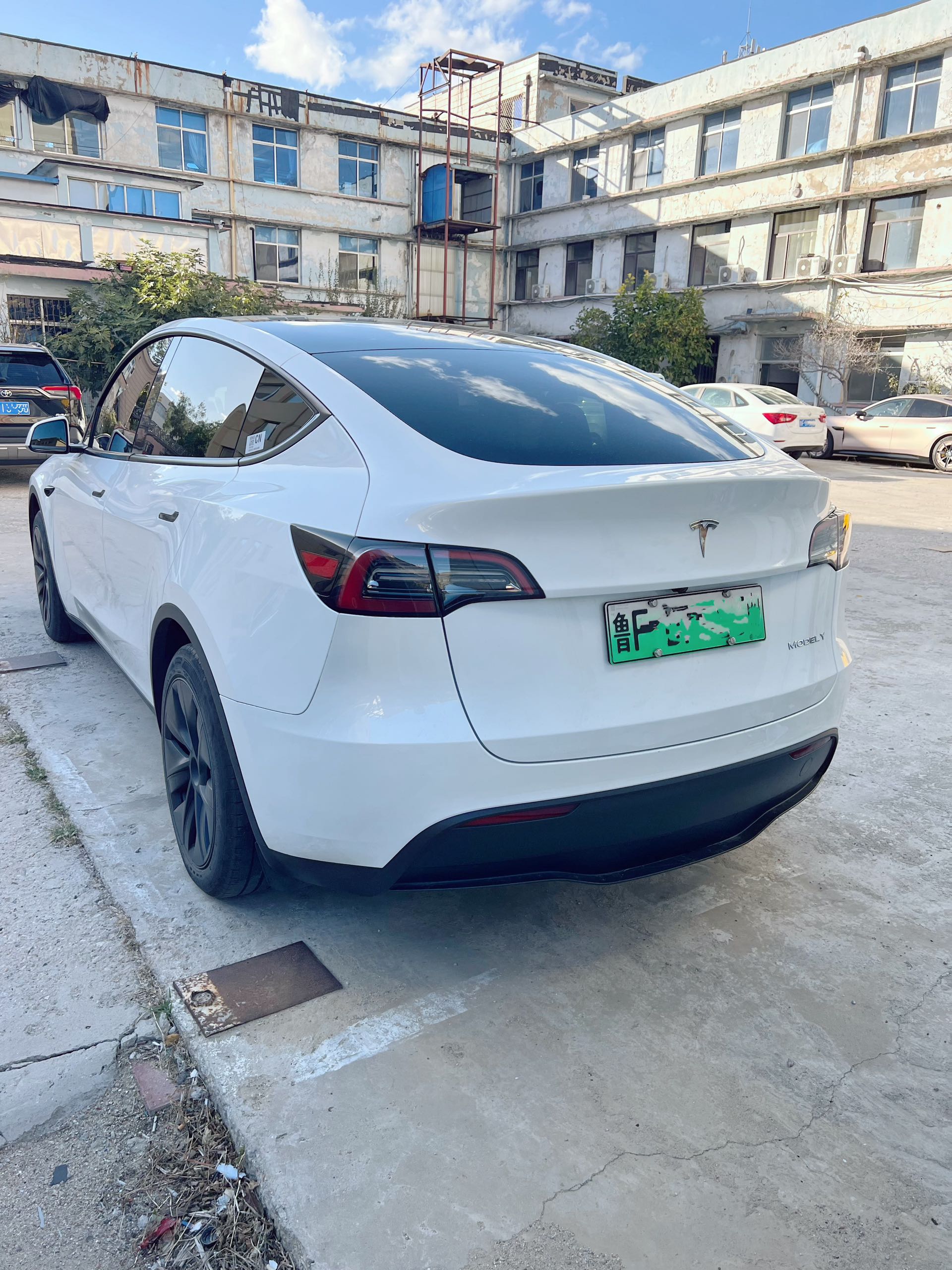 Tesla Model Y 2024 car image #6