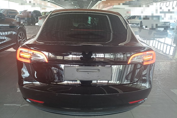Tesla Model 3 2021 #6 Tesla Model 3 2021 immagine di auto #6