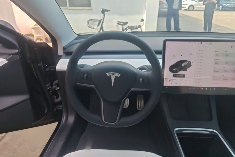 Tesla Model 3 2021 #15 Tesla Model 3 2021 car image #15