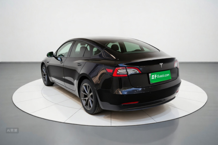 Tesla Model 3 2021 car image #5