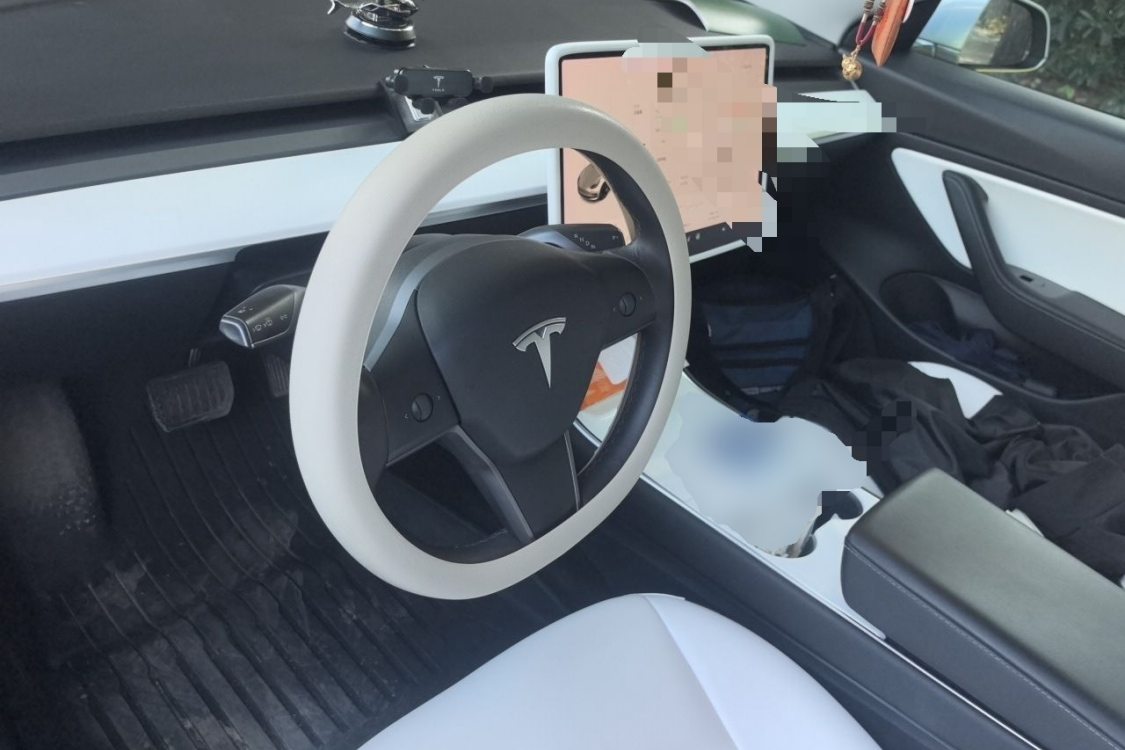 Tesla Model 3 2020 #23 Tesla Model 3 2020 car image #23