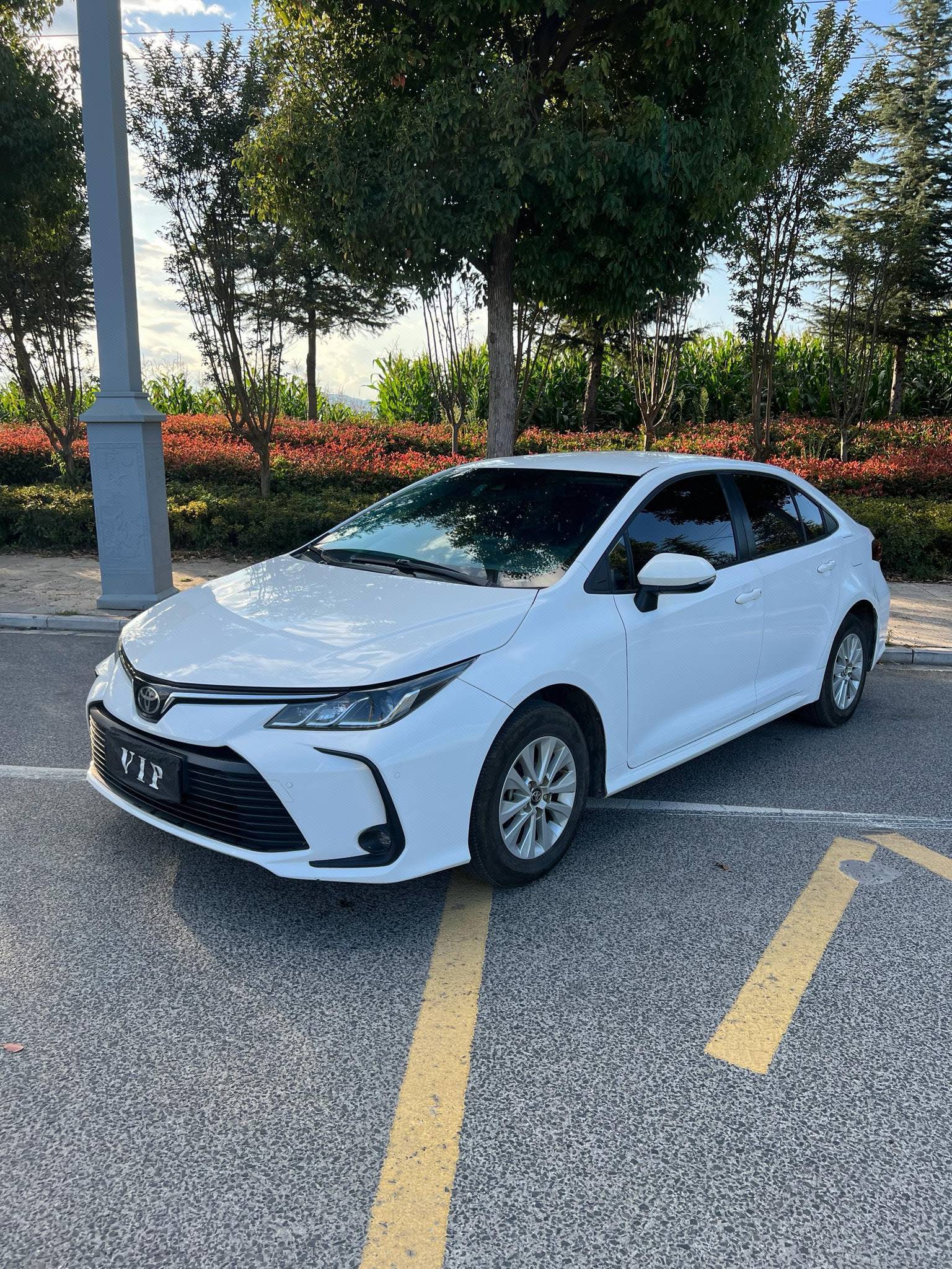 Toyota Corolla 2019 Toyota Corolla 2019 car image