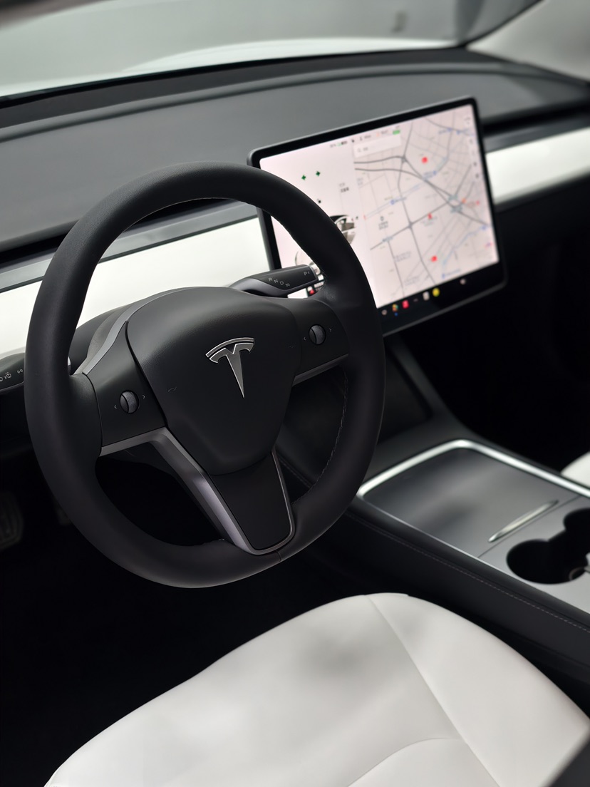 Tesla Model 3 2021 car image #6