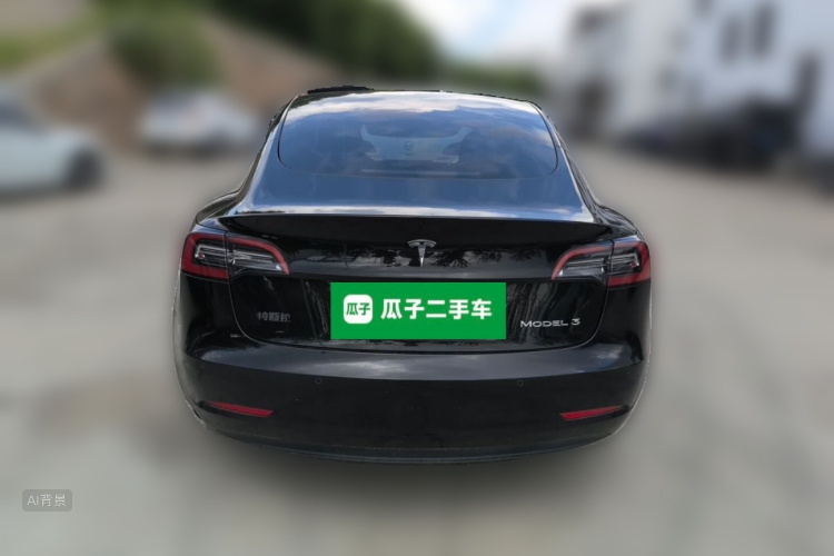 Tesla Model 3 2021 car image #6