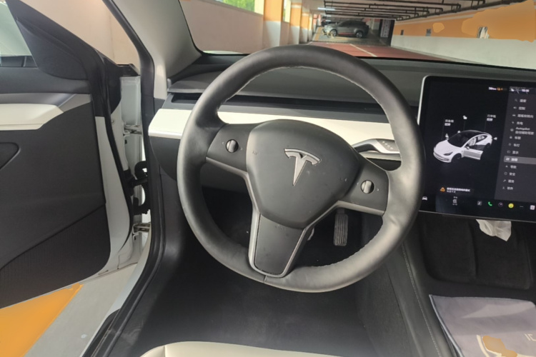 Tesla Model 3 2021 car image #11