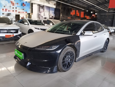 Tesla Model 3 2024 car image 