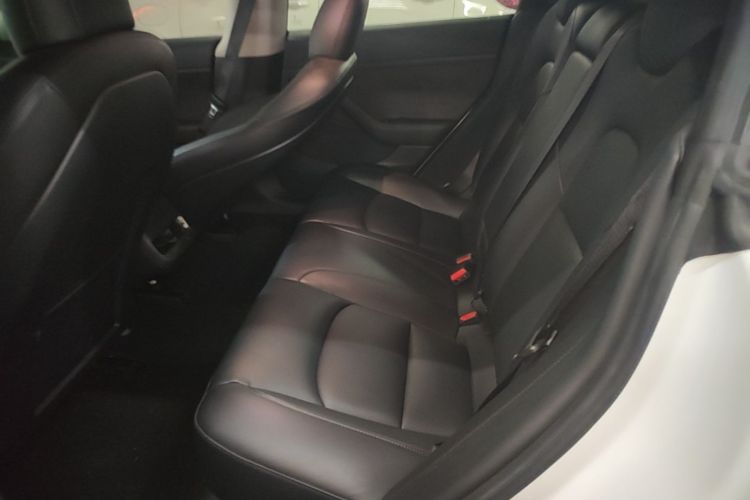 Tesla Model 3 2020 #17 Tesla Model 3 2020 car image #17