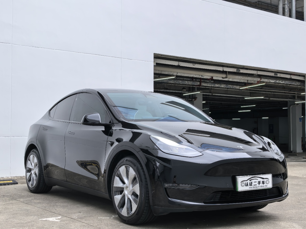Tesla Model Y 2021 #3 Tesla Model Y 2021 car image #3