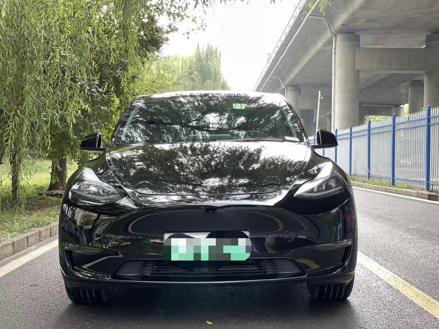 Tesla Model Y 2024 imagen de coche #2