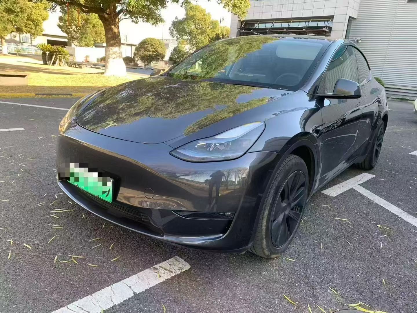 Tesla Model Y 2024 Tesla Model Y 2024 car image