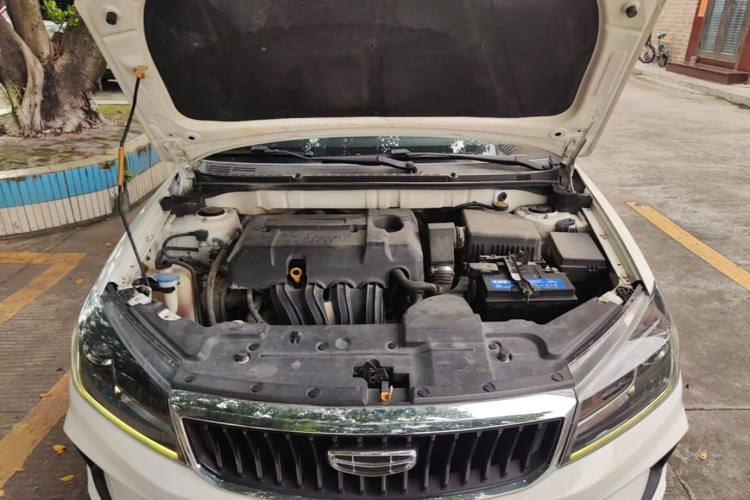 GEELY Emgrand 2021 immagine di auto #20