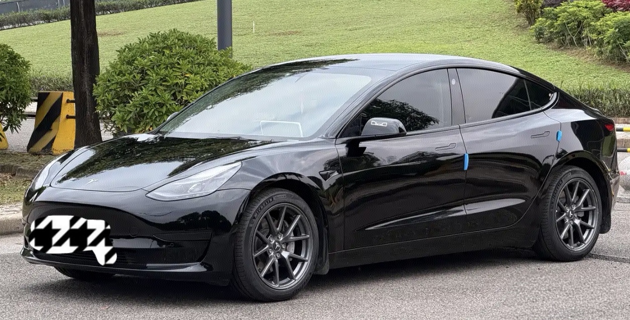 Tesla Model 3 2021 Tesla Model 3 2021 car image