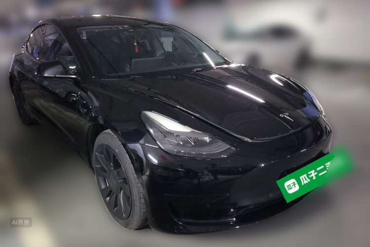 Tesla Model 3 2021 car image #4
