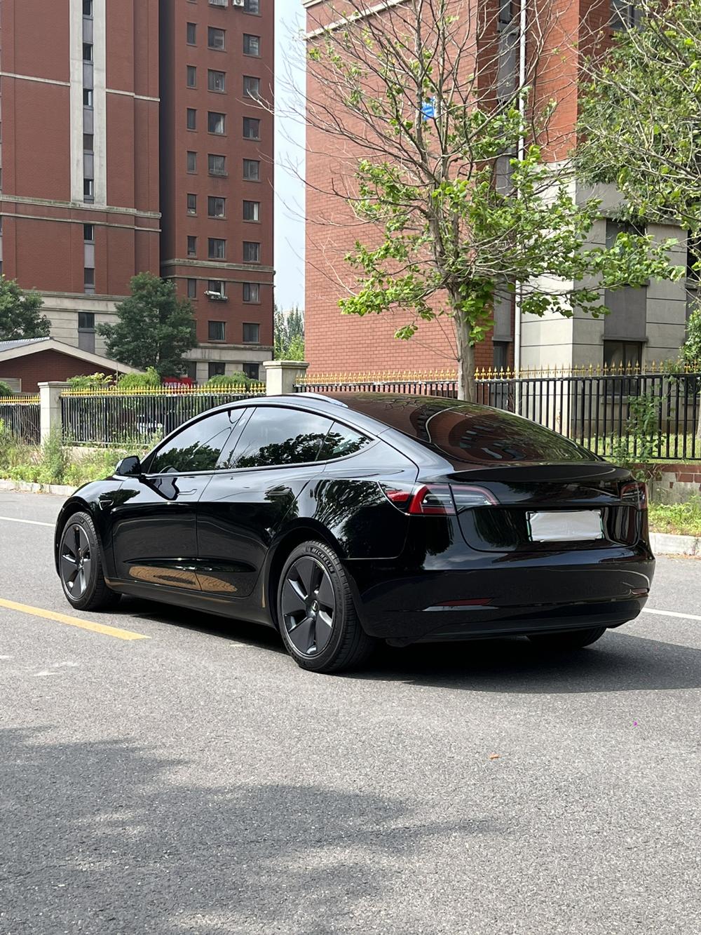Tesla Model 3 2022 #5 Tesla Model 3 2022 car image #5