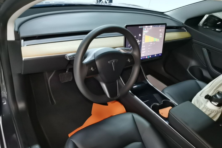 Tesla Model 3 2020 imagem de carro #10
