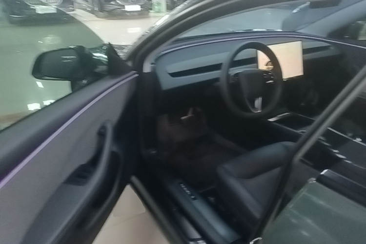 Tesla Model 3 2024 #16 Tesla Model 3 2024 car image #16