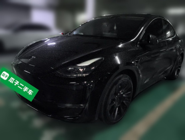 Tesla Model Y 2021 Tesla Model Y 2021 car image