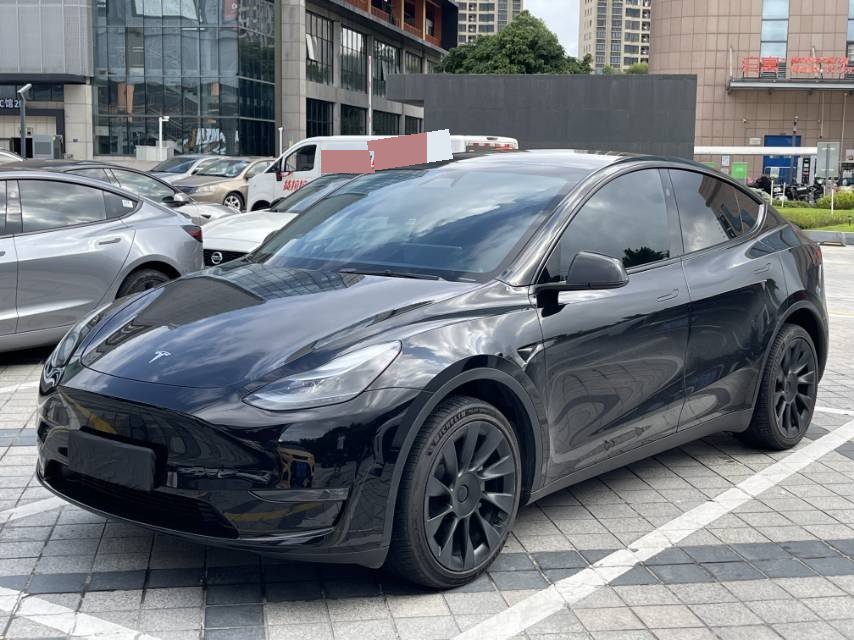 Tesla Model Y 2024 Tesla Model Y 2024 car image
