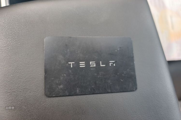 Tesla Model 3 2021 #10 Tesla Model 3 2021 car image #10
