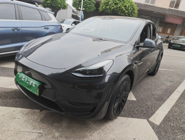 Tesla Model Y 2024 Tesla Model Y 2024 car image