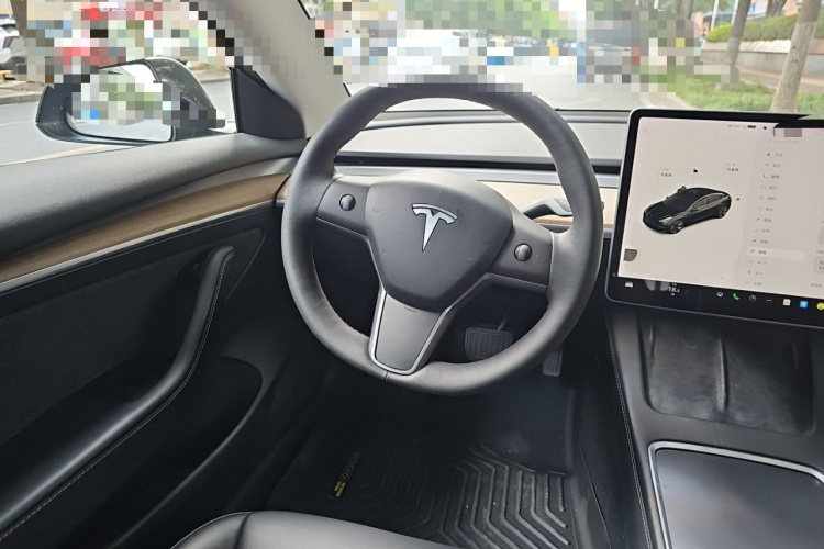 Tesla Model 3 2021 immagine di auto #11
