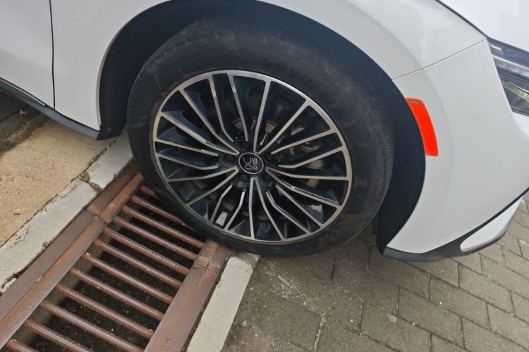 BYD Han 2021 car image #9