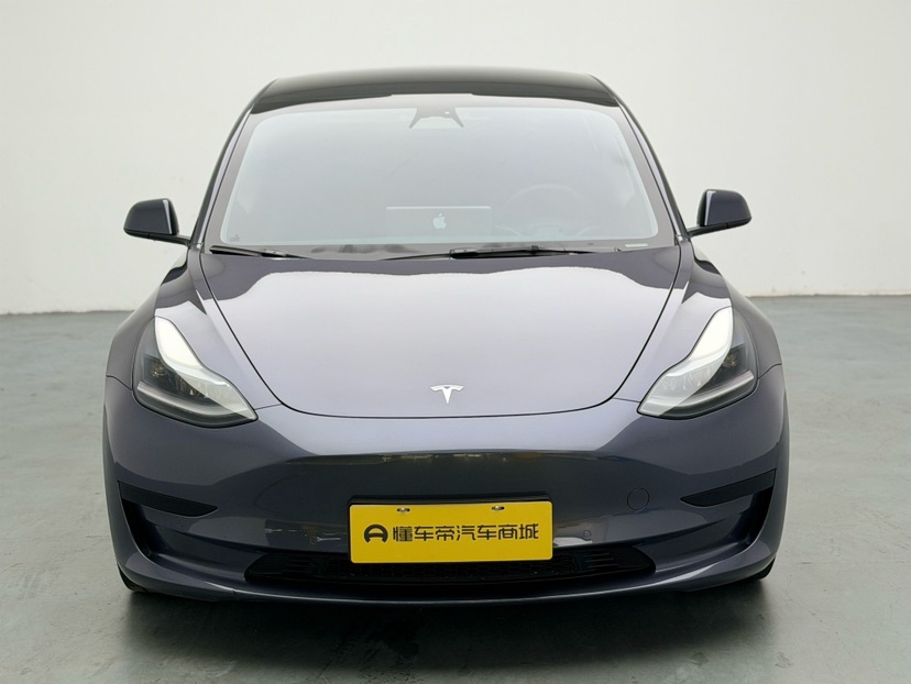 Tesla Model 3 2022 #7 Tesla Model 3 2022 car image #7