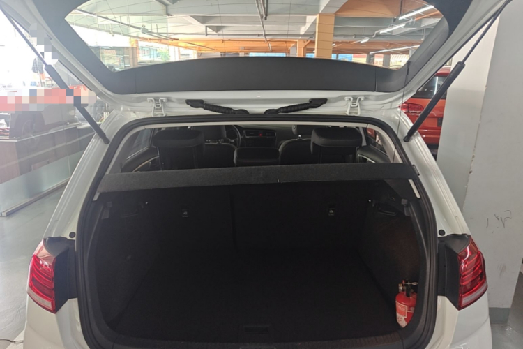 Volkswagen Golf 2019 #19 Volkswagen Golf 2019 car image #19
