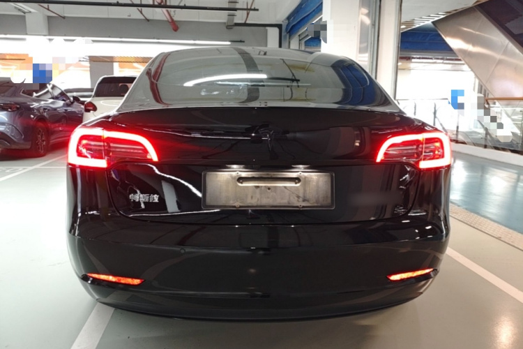 Tesla Model 3 2021 car image #6