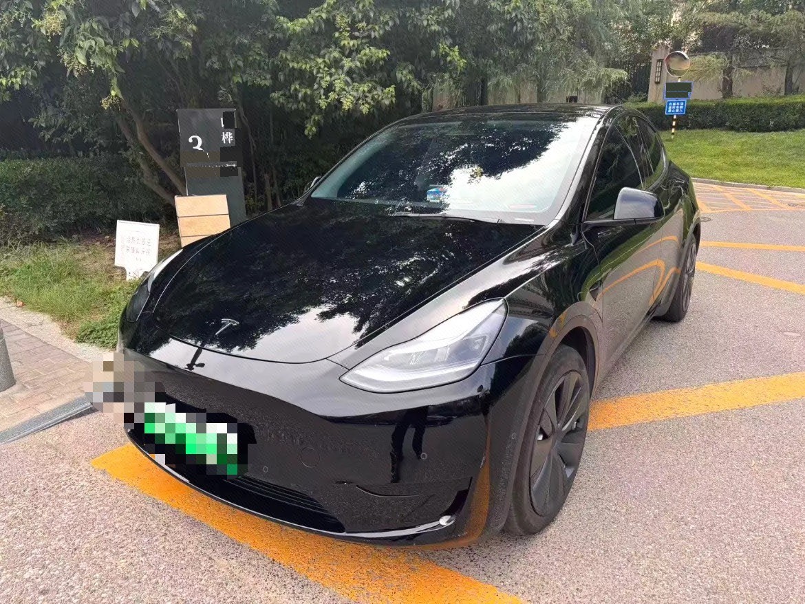 Tesla Model Y 2023 Tesla Model Y 2023 car image