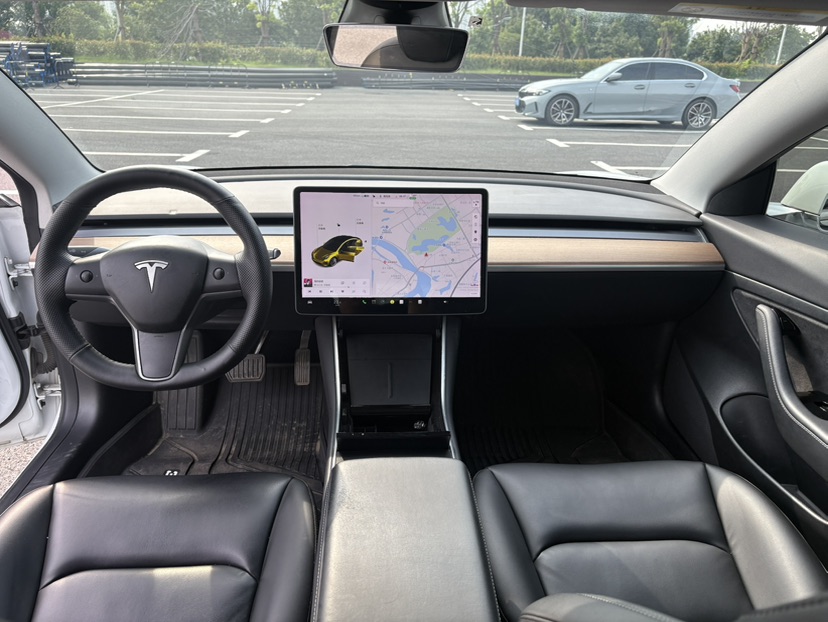 Tesla Model 3 2020 car image #7