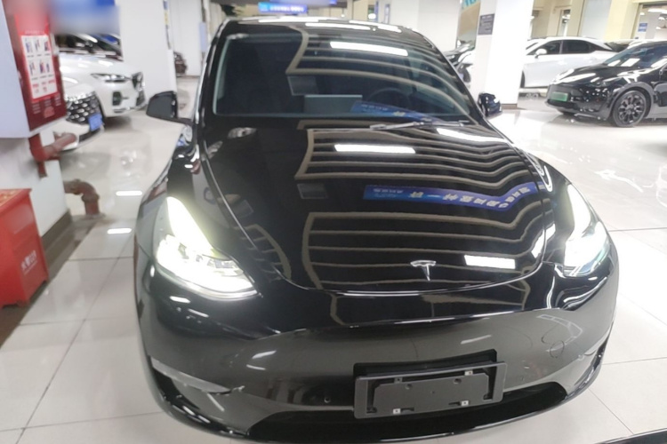 Tesla Model Y 2021 car image #3