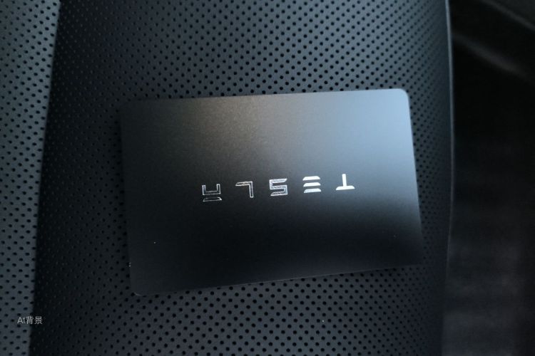 Tesla Model 3 2024 car image #10