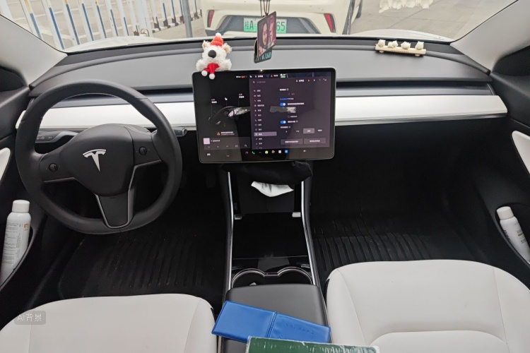 Tesla Model 3 2020 car image #11