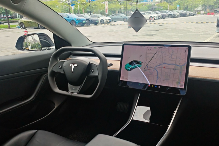 Tesla Model 3 2020 car image #29