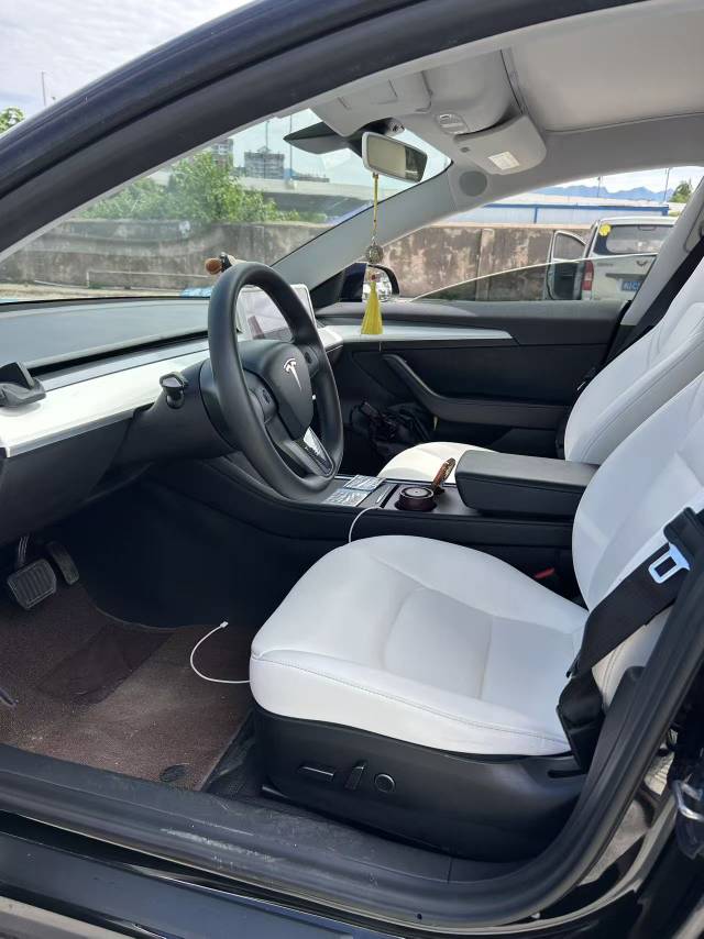 Tesla Model 3 2021 #7 Tesla Model 3 2021 car image #7