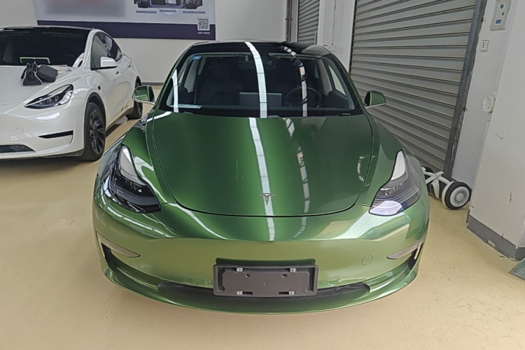 Tesla Model 3 2020 car image #3