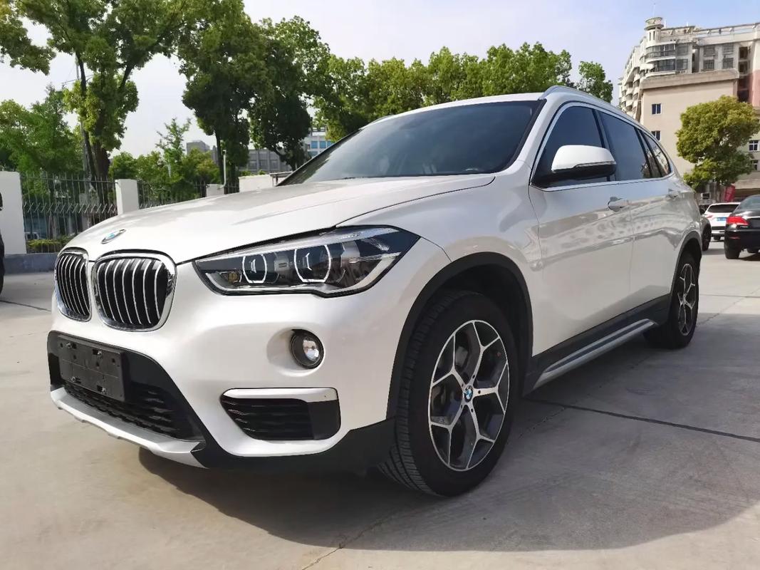 BMW X1 2019 car image 