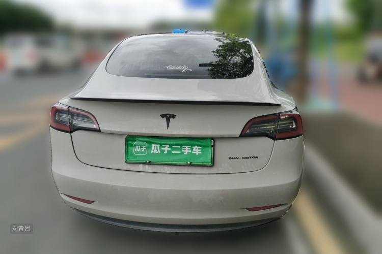 Tesla Model 3 2020 car image #6